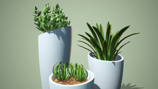 芦荟 栀子花 盆栽 盆景 写实植物 植被 室内装饰