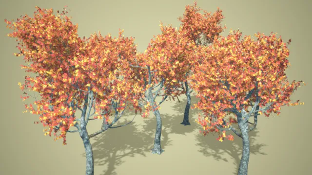 枫树 枫叶 写实树木 红色树叶 黄色树叶 植物 山树