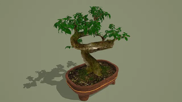 3D写实风格盆景模型，创意设计（3D盆景、写实风格、植物园艺主题，物品元素）