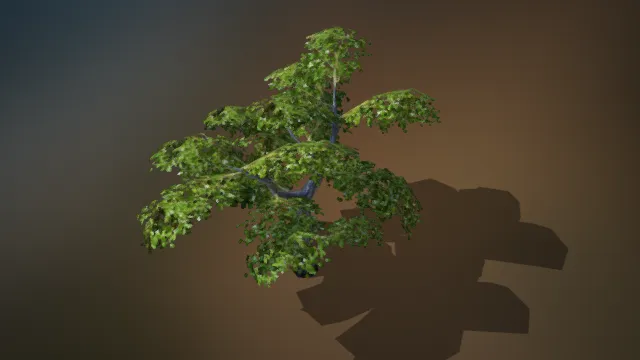 榆树 岩树 植被 绿植