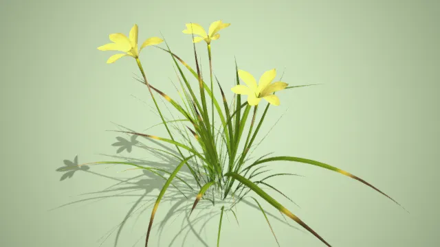 花朵 花草 小黄花 写实植物 草丛 杂草