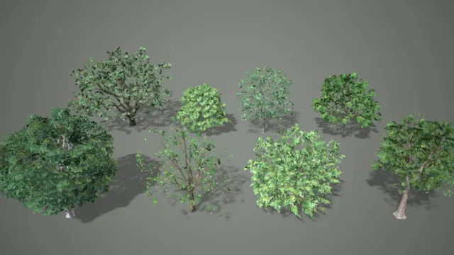 草地 绿树 简易树木 小叶树 植物 植被