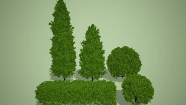 植物  植被  绿植  灌木丛  小树