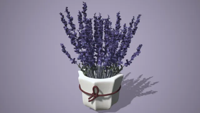 兰花 花盆 花草 室内盆栽 盆景 简易模型