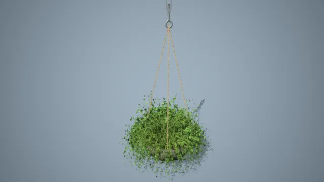 盆栽 吊篮 吊盆 写实 室内植被 绿植装饰