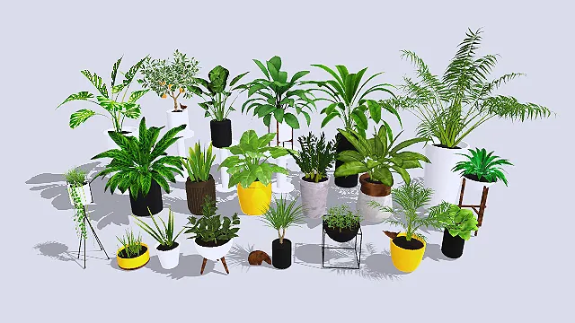 写实室内盆栽绿植合集