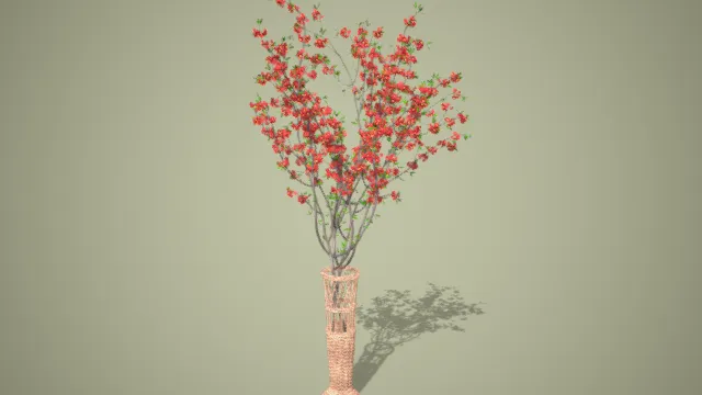 插花 樱花枝条 植被 绿植 花卉 梅花 室内绿植 盆景盆栽