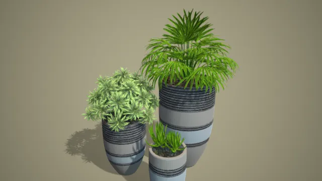 芦荟 盆栽 室内植物 绿色植物 写实植物