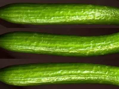 黄瓜高清贴图