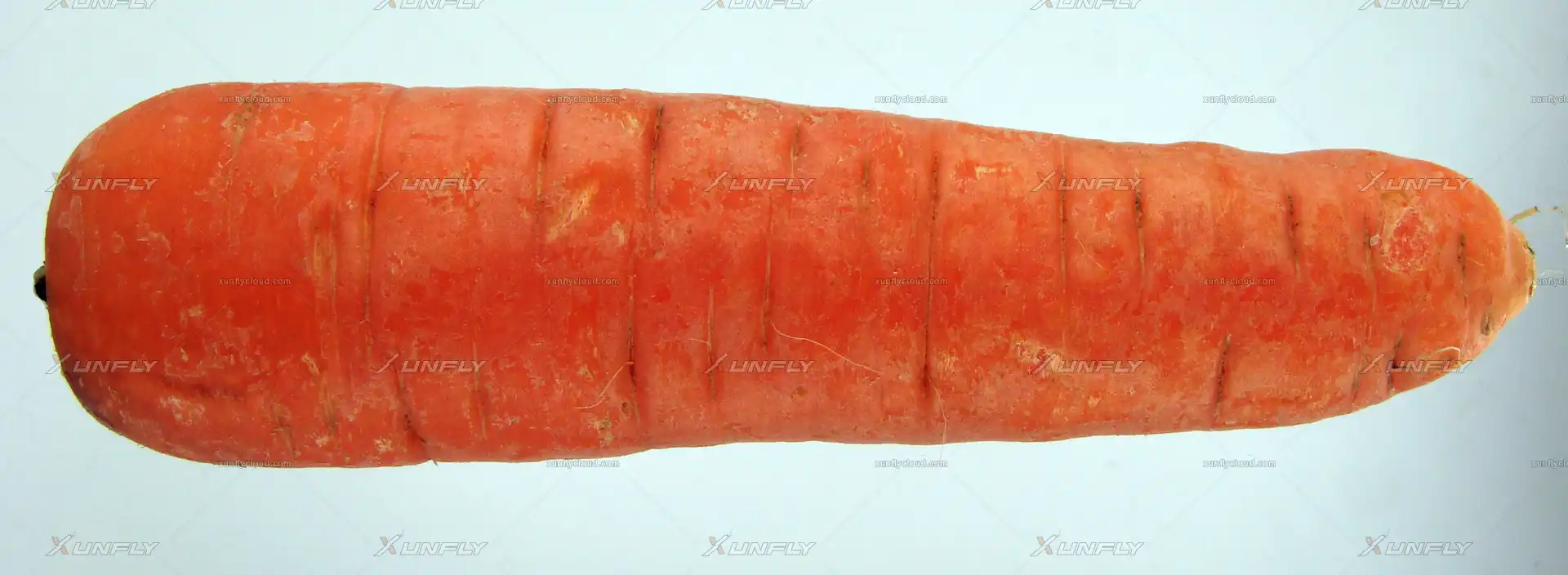 红萝卜 胡萝卜高清贴图