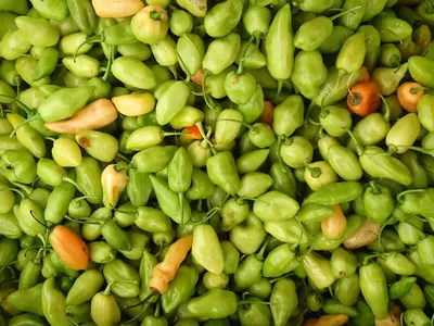 青辣椒蔬菜食物高清贴图