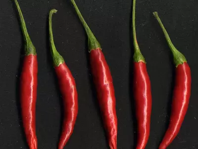 红辣椒 尖椒高清贴图