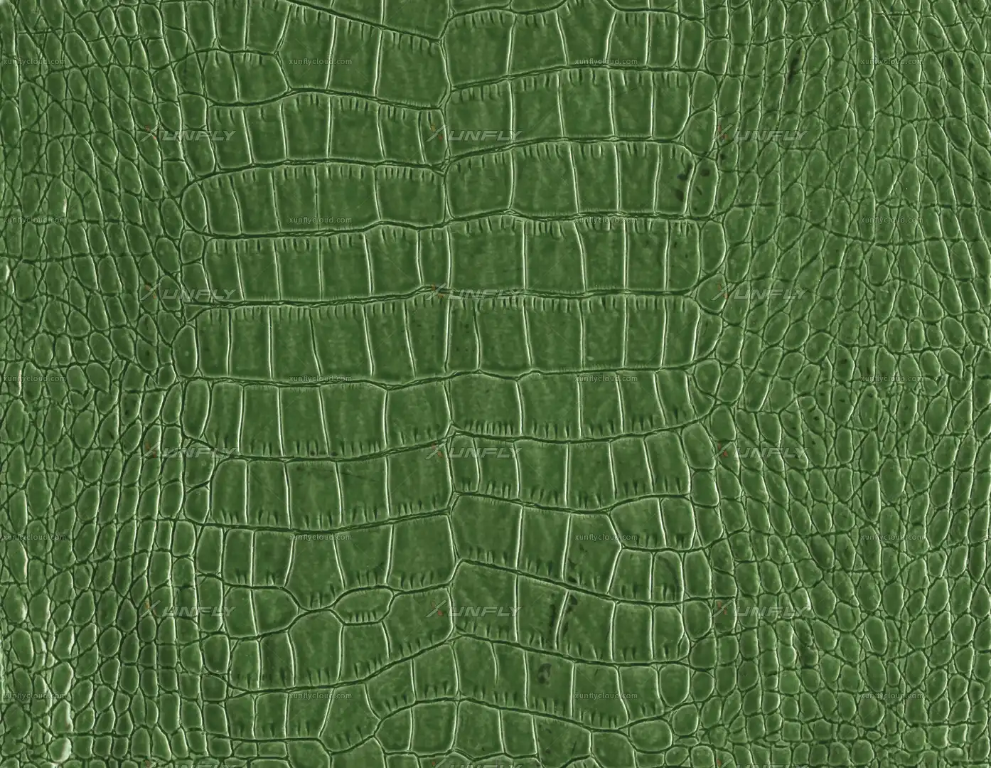 绿色鳄鱼皮革