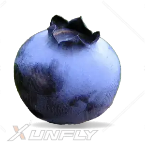 蓝莓